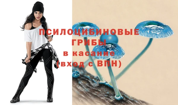 прущая мука Алексеевка