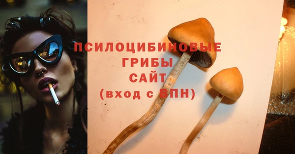 прущие крисы Алзамай
