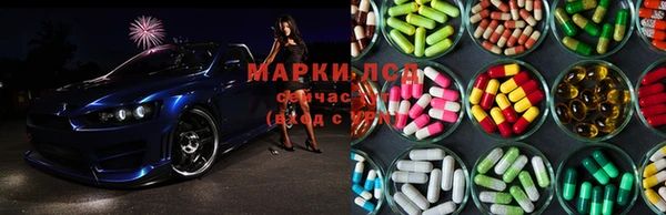 прущие крисы Алзамай