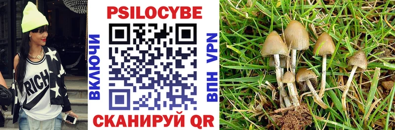 Галлюциногенные грибы Psilocybe  Купить  Сосенский 