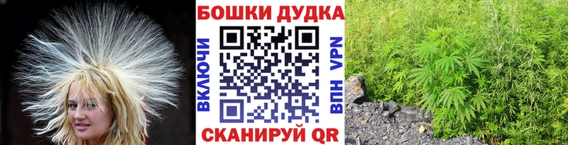 Бошки Шишки Bruce Banner  Купить закладки  Сосенский 